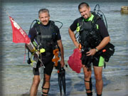 reasearch divers
